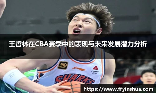 王哲林在CBA赛季中的表现与未来发展潜力分析